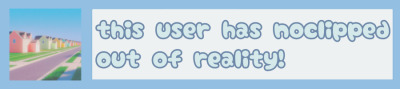 this user has noclipped out of reality!